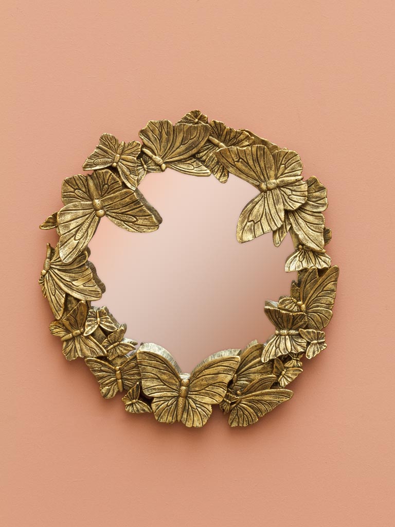 miroir papillon